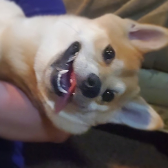 Meet your Posher, Marla - Picture 1 of 1